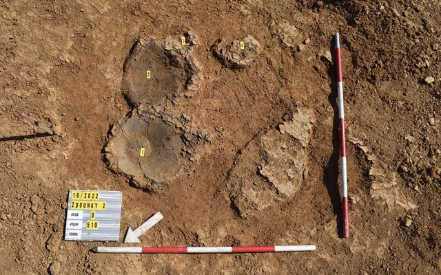 Archeologové z Olomouce nalezli pohřebiště z doby bronzové. Místo skrývalo i zlatý šperk