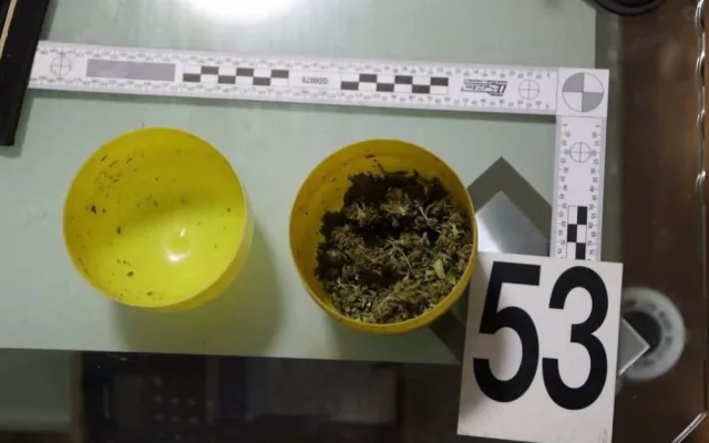 Ozbrojený dealer drog na sebe v Olomouci upozornil poznávací značkou z kusu kartronu