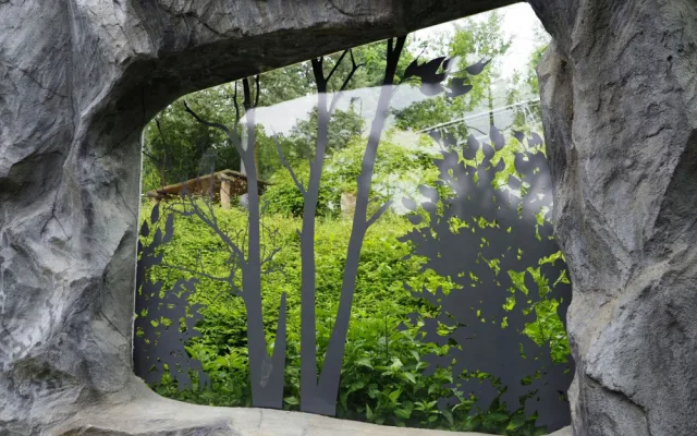 Ptáky, kteří v olomoucké zoo naráželi na prosklený pavilon levhartů, zastaví speciální nálepky