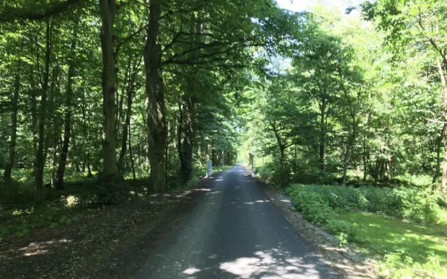 Turisté se dostanou snadněji k Lovecké chatě v Litovelském Pomoraví. Cesta má asfaltový povrch