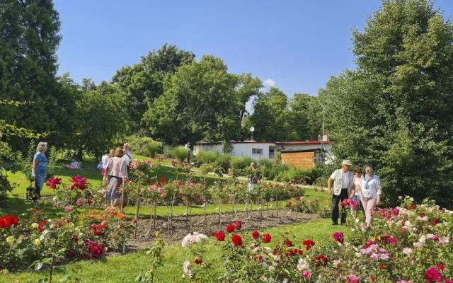 Řečiště, součást opevnění i skládka. Území rozária v Olomouci zažilo několik etap, zahradou je padesát let