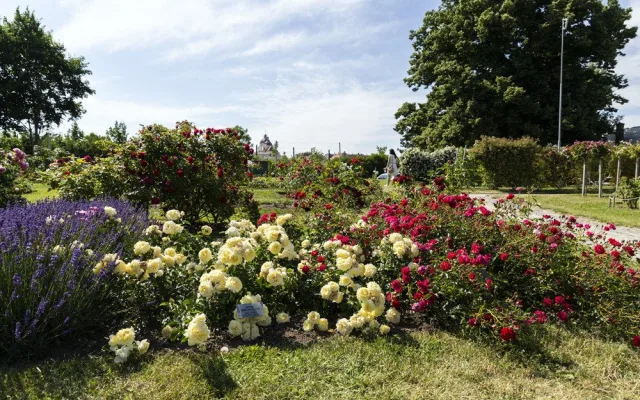 Festival Vyznání růžím v olomouckém rozáriu