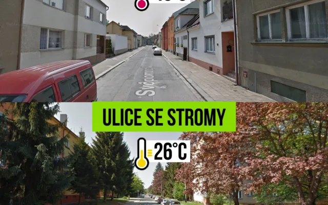 Současná vedra nesnesitelně rozpalují ulice a náměstí. Přerov chce do centra dostat více zeleně