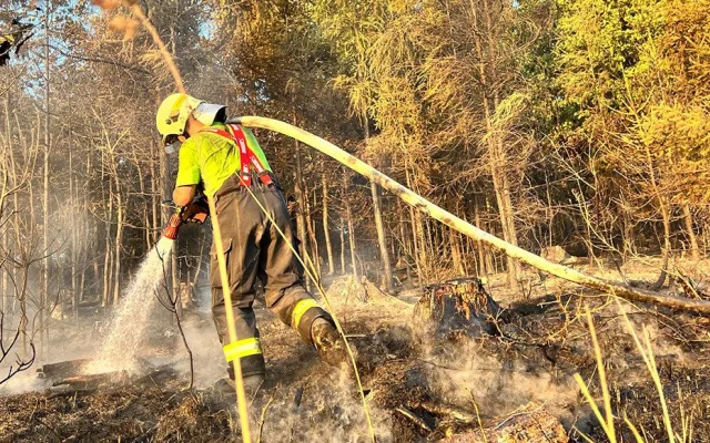 VIDEO: Ranní bouřky zklidnily plameny v lese na Olomoucku jen mírně. Hasiči požár krotili celou noc