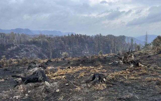 FOTOGALERIE: Až na hranu sil. Hasiči z kraje neúnavně bojují s požárem u Hřenska