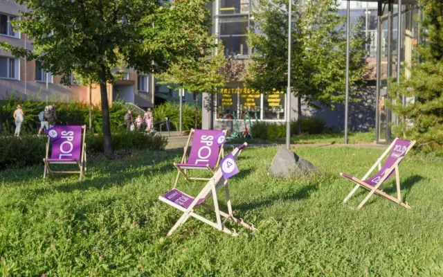 Dárek od spOLečně: Sto fialových lehátek v ulicích nadchla Olomoučany