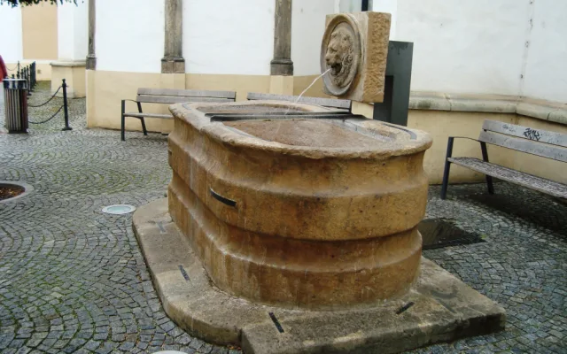 Delfínova kašna u kostela Neposkvrněného početí P. Marie