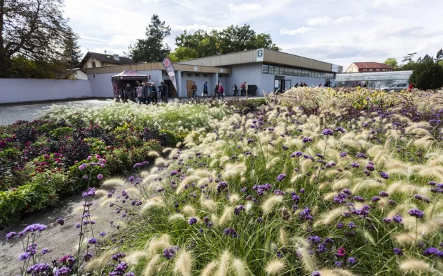 FOTOGALERIE: Zkumavky, květiny a výpěstky. Podzimní Flora přiblíží i taje genetiky