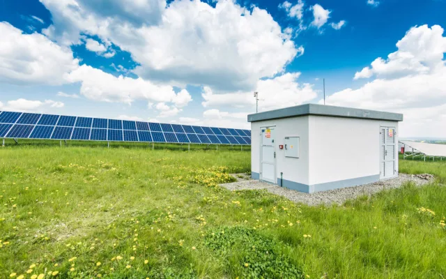 V Ochozi na Prostějovsku bude trávu u solárních elektráren spásat stádo ovcí