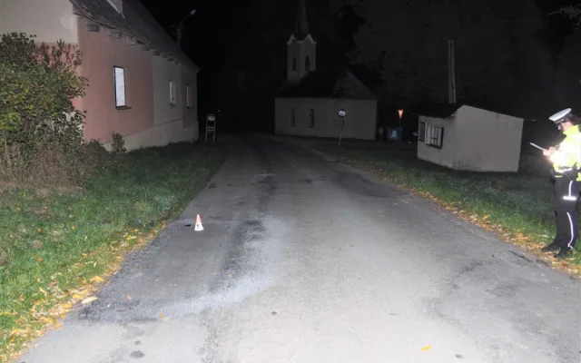 V Křižanově se před půlnocí procházel po silnici kůň. Bez úhony přežil i srážku s autem