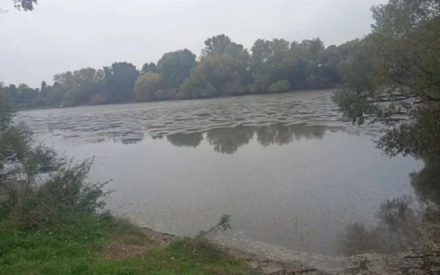 V Dobromilicích někdo vypustil rybník. Uhynuly přes dvě a půl tuny malých kaprů