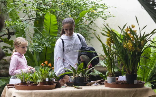 Vzácné druhy orchidejí představí výstava Klenoty pralesa ve Smetanových sadech