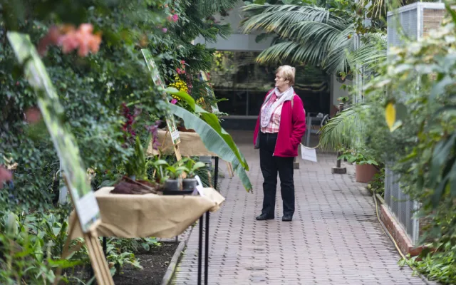 Vzácné druhy orchidejí představí výstava Klenoty pralesa ve Smetanových sadech
