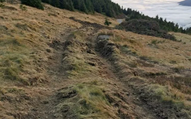 Na Červené hoře těžká technika rozjezdila vzácnou tundru. Případ už řeší inspekce životního prostředí