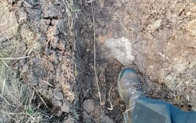 Na Červené hoře těžká technika rozjezdila vzácnou tundru. Případ už řeší inspekce životního prostředí