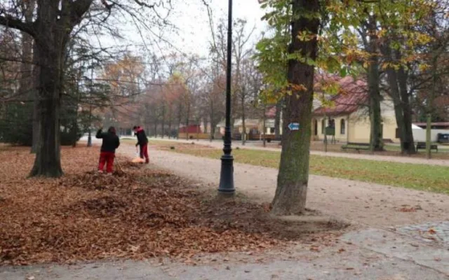 V přerovském parku Michalo začalo ořezávání stromů. Město vyzývá návštěvníky, aby dávali pozor