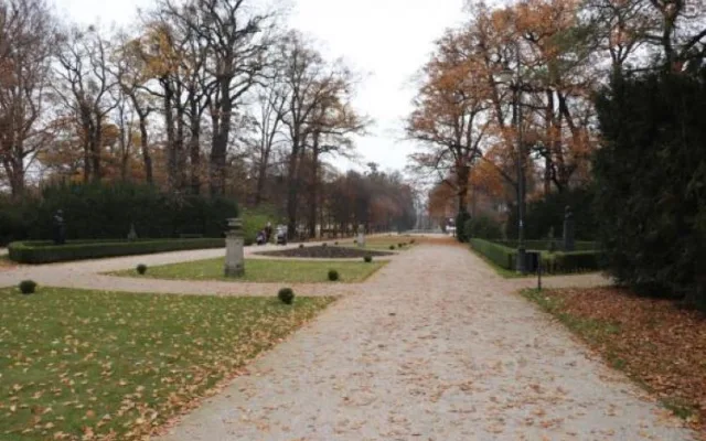 V přerovském parku Michalo začalo ořezávání stromů. Město vyzývá návštěvníky, aby dávali pozor