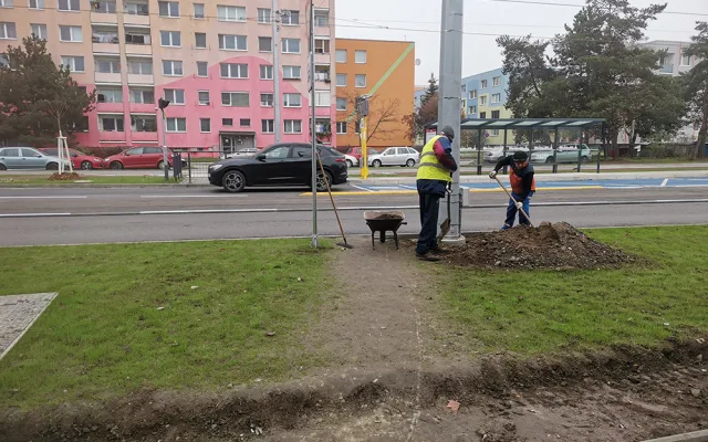 Půlmiliardová přestavba s rezervami. Značení pro cyklisty je na Zikově nebezpečné, míní koordinátor BESIPu