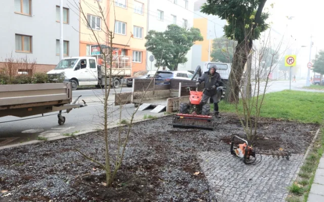 Nové stromy, záhony a trávníky. I takový byl olomoucký podzim
