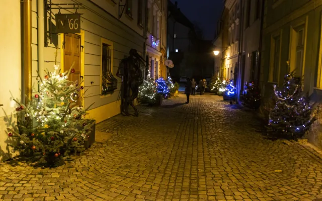 Sváteční ulička v centru Olomouce. Již podruhé ji rozzářily vánoční stromky