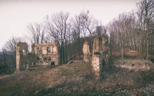 Zřícenina hradu Vikštejn