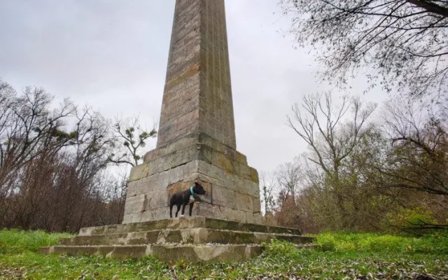 TIP NA VÝLET: Nenáročná procházka krásnou přírodou Pomoraví. Ideální na Silvestra nebo na Nový rok