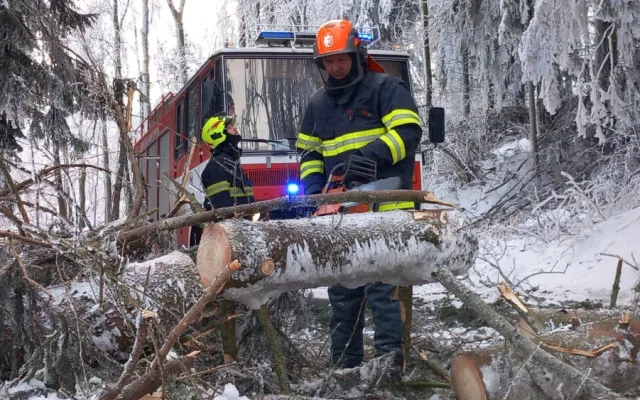 Kalamita na Jesenicku. Kvůli námraze padají stromy, cesty jsou uzavřené, elektřinu dodávají generátory