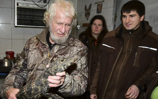 VIDEO: Úspěšné sexování olomouckých krokodýlů: zoo na Svatém Kopečku hlásí pět samců