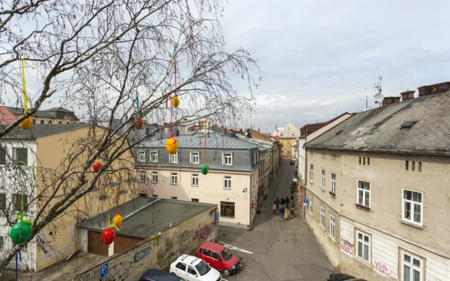 Pestrobarevná krása: kraslicovníky jarně oživily uličku v centru Olomouce