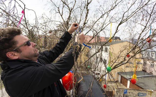 Pestrobarevná krása: kraslicovníky jarně oživily uličku v centru Olomouce