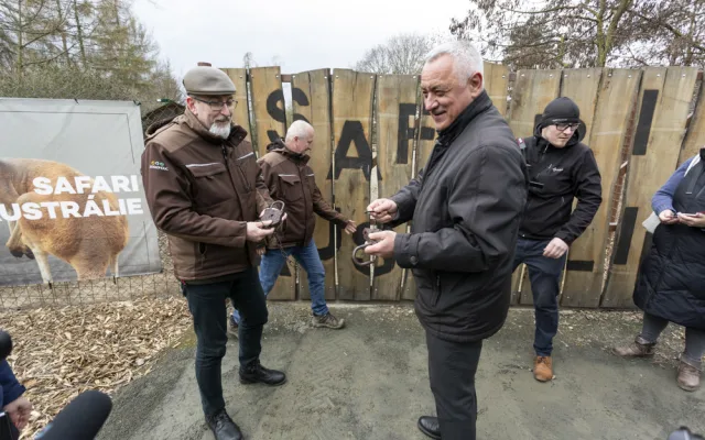 FOTOGALERIE: Vláčkem za soby a klokany. Zoo Olomouc otevřela dvě nové části safari