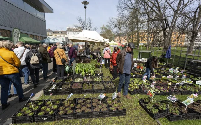 FOTOGALERIE: Záplava květin i návštěvníků. Jarní Flora lákala od úvodních hodin davy