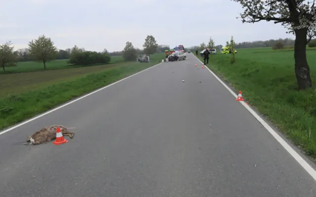 Úhybný manévr před srnkou skončil na Přerovsku vážnou nehodou, tři lidé utrpěli zranění