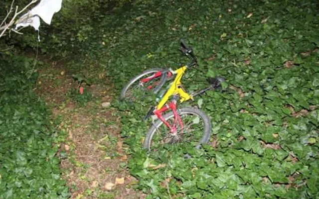 Po vyrušení u garáží se vloupal do zahradní budky. Recidivistu chytili policisté v Mohelnici přímo při činu
