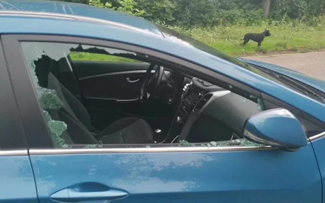 Nepříjemný návrat na parkoviště. Vandal rozbil okénka aut u jezera Poděbrady