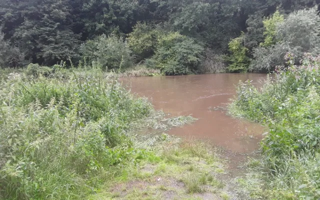 U Střeně hasiči z rozvodněné Moravy zachraňovali pět vodáků. Dítě, muž a tři ženy zůstali uprostřed řeky