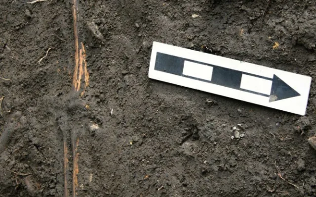 Pod podlahou domu v Přerově našel majitel ostatky dvou dospělých a jednoho dítěte. Staré jsou přes sto let