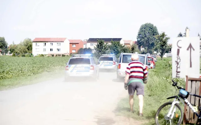 Kvůli samosběru zeleniny musela policie uzavřít silnici u Vojnic. Na pole přijelo několik set aut