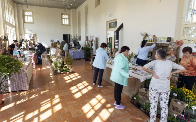 FOTOGALERIE: Československo středobodem Flory. V Olomouci začala tradiční zahradnická výstava