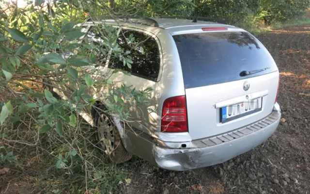 Zdrogovaný šofér prchl od nehody. V kukuřičném poli u Prostějova ho vyčenichal policejní pes Deryk