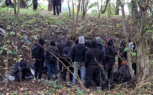 Skupinu šestadvaceti migrantů ze Sýrie vypátral policejní pes Umpalumpa. Ukrývali se u Mohelnice v lese