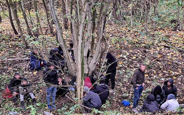Skupinu šestadvaceti migrantů ze Sýrie vypátral policejní pes Umpalumpa. Ukrývali se u Mohelnice v lese