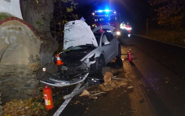 Řidič Tesly se u Žulové lekl protijedoucího vozu a narazil do stromu. Škoda vystřelila na milion korun