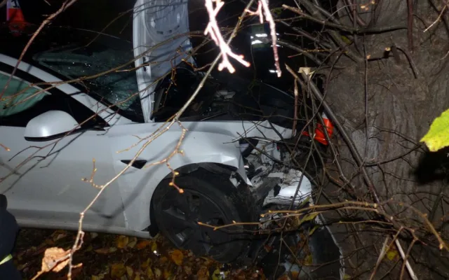 Řidič Tesly se u Žulové lekl protijedoucího vozu a narazil do stromu. Škoda vystřelila na milion korun