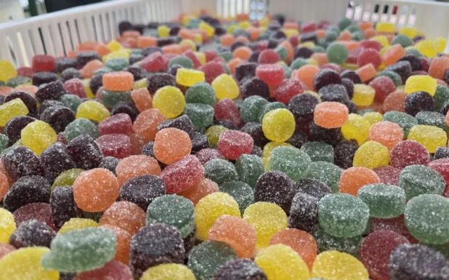 Z továrny Nestlé Sfinx míří bonbóny na tři světadíly