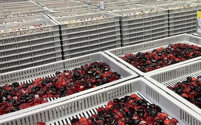 Továrna Nestlé Sfinx ročně vyrobí téměř 11 tisíc tun želé