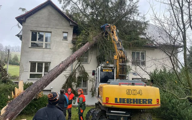 VIDEO: Na budovu školy v Jeseníku spadl mohutný strom, na místě zasahují hasiči