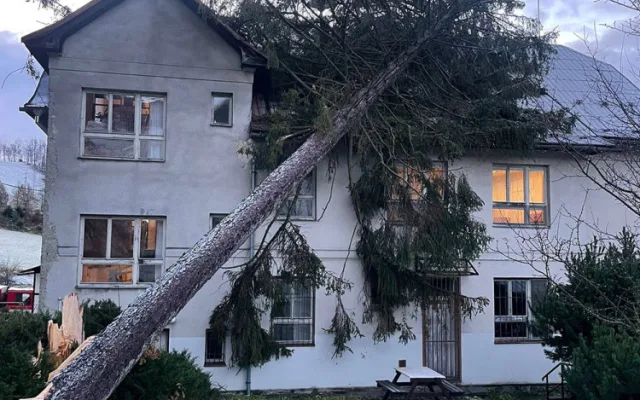 VIDEO: Na budovu školy v Jeseníku spadl mohutný strom, na místě zasahují hasiči
