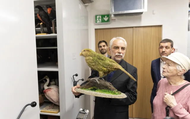 FOTOGALERIE: Jedinečná ptačí říše v Přerově. Po rekonstrukci se otevře muzeum Ornis