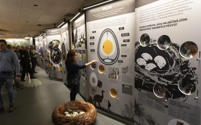 FOTOGALERIE: Jedinečná ptačí říše v Přerově. Po rekonstrukci se otevře muzeum Ornis